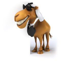 Fun camel
