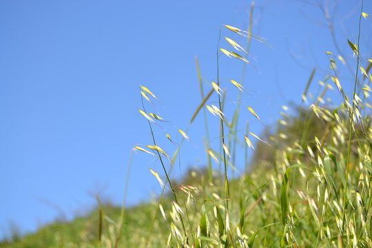 esinti