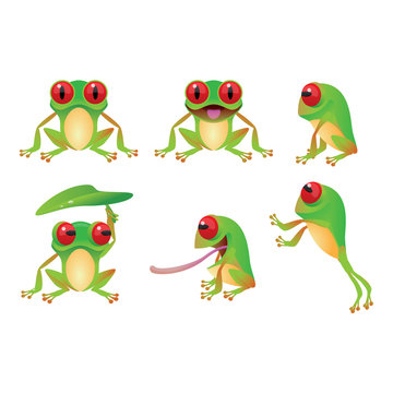 Collection of frog