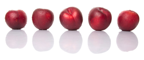 Victoria plum or red plum over white background