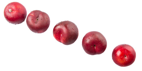 Victoria plum or red plum over white background