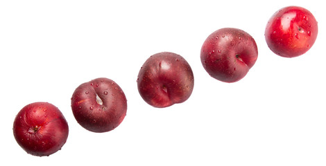Victoria plum or red plum over white background