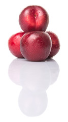 Victoria plum or red plum over white background