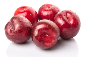 Fototapeta na wymiar Victoria plum or red plum over white background