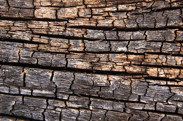 Abstract burn wood background