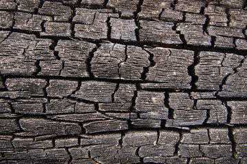 Abstract burn wood background