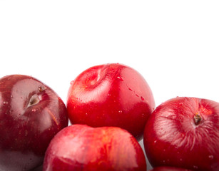 Victoria plum or red plum over white background