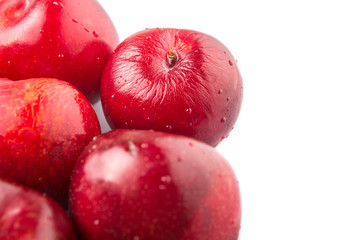 Victoria plum or red plum over white background