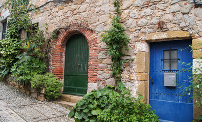 Fototapeta na wymiar two doors in the wall of stone between plants