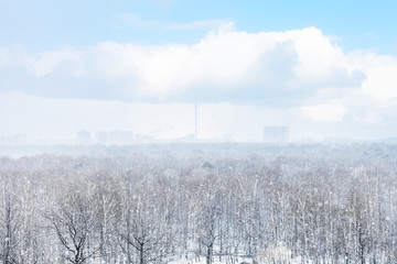 Fototapeta na wymiar snow storm over city and forest in spring