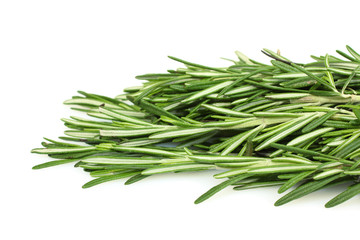 rosemary isolated