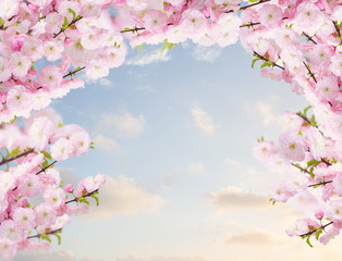 Obraz na płótnie Canvas Blossoming white tree Flowers