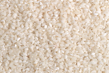 Grains of rice. Background