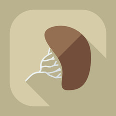 Flat modern design with shadow liver medical icon