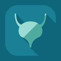 Flat modern design with shadow icons Bladder