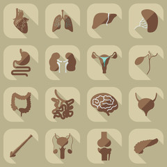 Flat concept, set modern design with shadow human organs