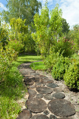 Walk path in garden decorated with stumps