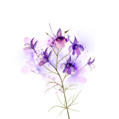 inflorescence larkspur by watercolor Elements