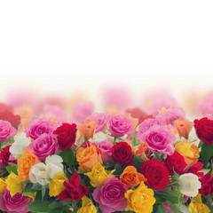 bouquet of fresh roses