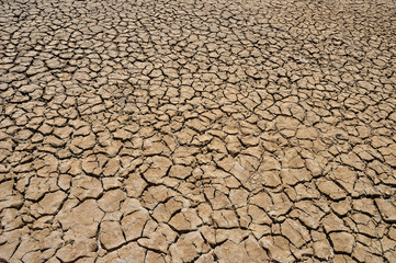 Dry ground