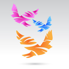 Vector colorful pigeons.