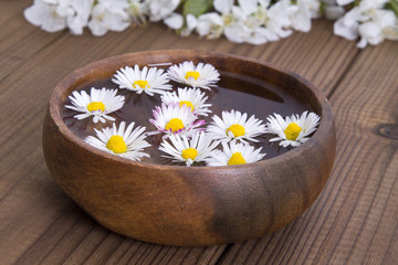 Obraz na płótnie Canvas Bowl with daisies on wooden background
