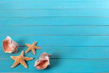Beach background border summer vacation holiday with group of seashell starfish on old blue wood planked decking space for copy text photo