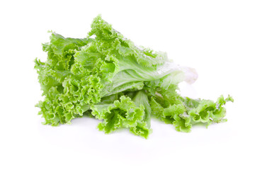 green salad isolated on a white background