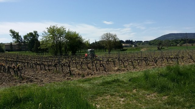 Agriculture