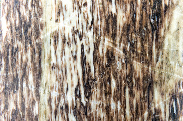 Marble texture background.