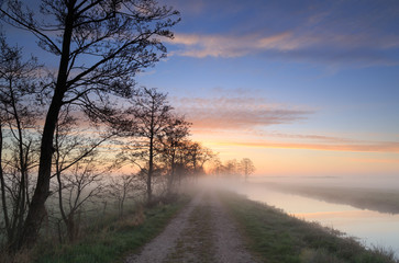 Fototapeta na wymiar Empty countryroad during a foggy, spring sunrise.