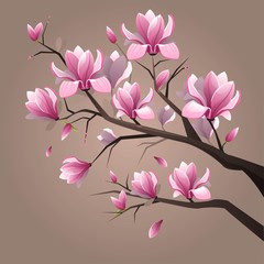 Pink magnolia flowers