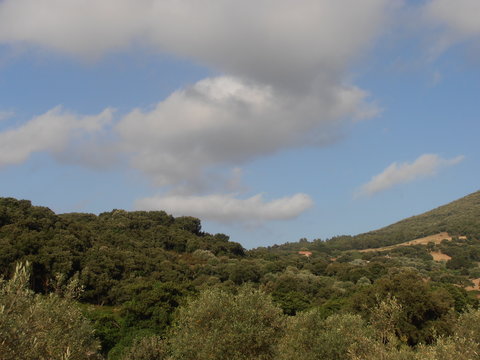 Monti sibirini