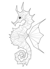 Sea horse. Low polygon linear vector illustration