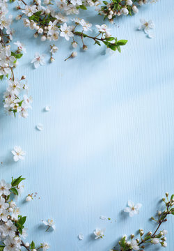art Spring border background with white blossom