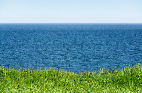 green grass in front of the wide blue sea and horizon to the sky