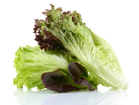 Lettuce