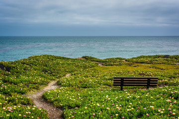 Naklejka na ściany i meble Path and bench on a bluff above the Pacific Ocean, in Santa Cruz