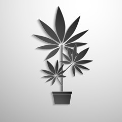 symbol of growing marijuana cut black paper.