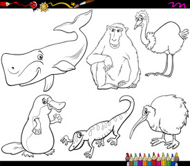 animals and food coloring page