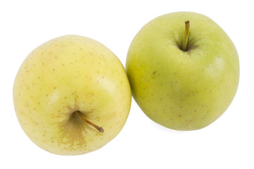 isolated apples