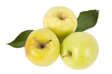 isolated apples