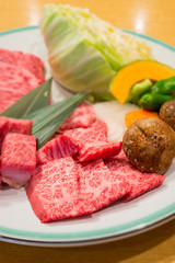 Best selected Hida premium beef plated, yakiniku japanese food