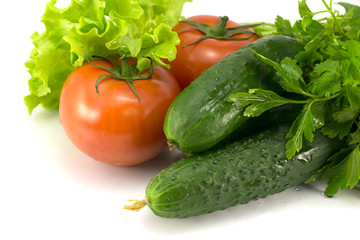 tomatoes, cucumbers and greens on a white background