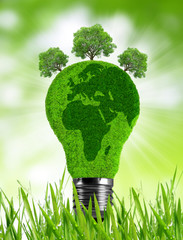 Eco light bulb in grass. Green energy concept.