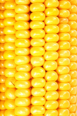 Corn