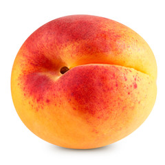 Apricot