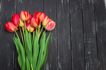 Red tulips on rustic wooden table. Top view with copy space