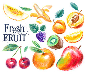 Fototapeta premium fruit on a white background. sketch, illustration