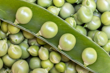 Green Peas background texture vegetable